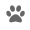 pet friendly icon